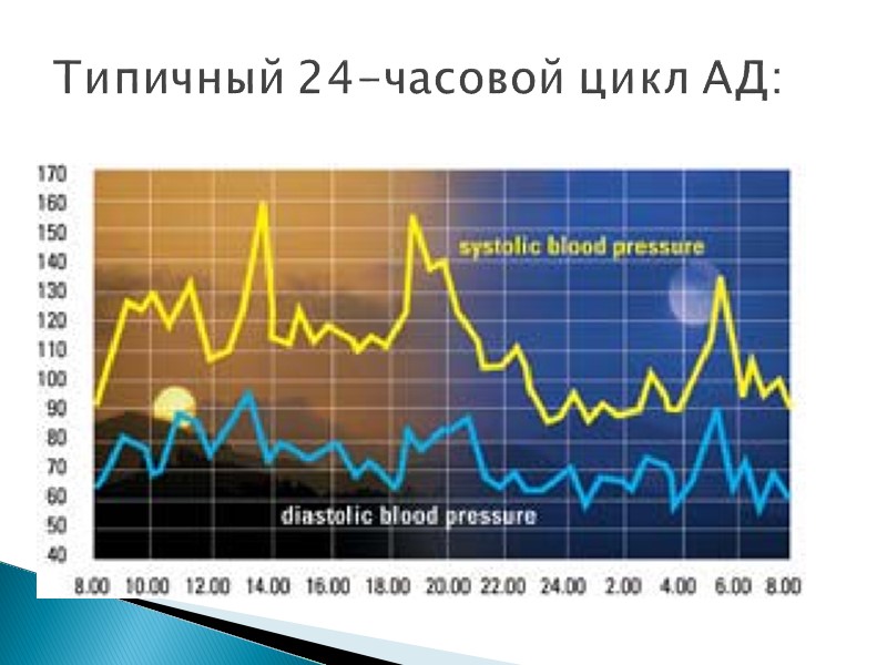 Типичный 24-часовой цикл АД: